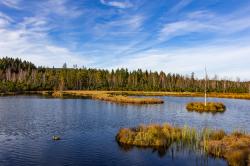 Ein Ziel der Tour am 24. August ist das Königsfilz nahe Borová Lada. (Foto: Andreas Stumpp/Nationalpark Bayerischer Wald)