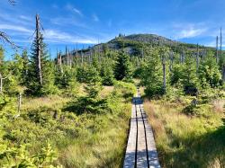 Der Lusen fasziniert Naturfans zu jeder Jahreszeit. (Foto: Gregor Wolf/Nationalpark Bayerischer Wald)