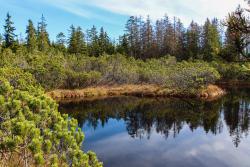 Das Dreiseenfilz mit seinen drei Moorseen ist ein landschaftlich besonders lohnendes Etappenziel der grenzüberschreitenden Radtour. (Foto: Gregor Wolf/Nationalpark Bayerischer Wald)
