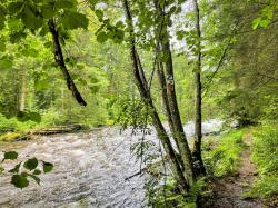 Entlang des Großen Regen führt die Wanderung am Sonntag, 14. September. (Foto: Sandra Schrönghammer/Nationalpark Bayerischer Wald)