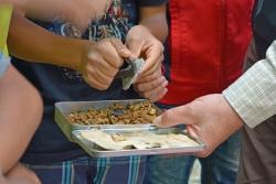 Warum heißt der Zunderschwamm eigentlich Zunderschwamm? Beim feurigen Experiment fanden die Flüchtlinge und ihre Sprachpaten die Antwort. (Foto: Thies Hinrichsen/Nationalpark Bayerischer Wald)