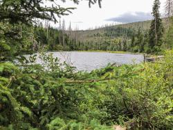 Der idyllische Lakasee mit seinen schwimmenden Inseln ist das Ziel der grenzüberschreitenden Radtour am Sonntag. (Foto: Peter Auerbeck/Nationalpark Bayerischer Wald)