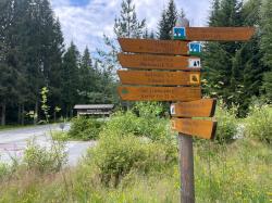 Künftig soll es Wanderern und Radfahrern erleichtert werden, die Nationalparkstraße an der Diensthüttenstraße zu überqueren. (Foto: Sandra Schrönghammer/Nationalpark Bayerischer Wald)