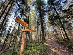 Der Adamweg mit der Markierung „Eibe“ von Zwieslerwaldhaus hinauf zum Großen Falkenstein ist derzeit komplett gesperrt. (Foto: Sandra Schrönghammer/Nationalpark Bayerischer Wald)