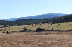Tolle Einblicke in den Nationalpark Šumava gibt es bei der Wanderung am 5. Oktober. (Foto: Annette Nigl /Nationalpark Bayerischer Wald)