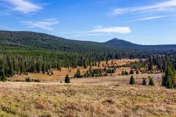 Dieser malerische Blick über das Lusental zur Nordseite des Lusens erwartet die Teilnehmer der grenzüberschreitenden Radtour. (Foto: Andreas Stumpp/Nationalpark Bayerischer Wald)