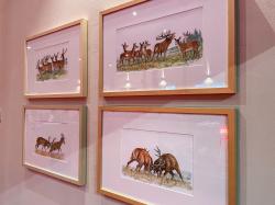 Die detailreichen und bunten Illustrationen sind bis zum 15. März im Hans-Eisenmann-Haus ausgestellt. (Fotos: Julia Reihofer/Nationalpark Bayerischer Wald)