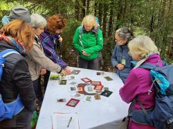 Bei der Waldführerausbildung erhalten die Teilnehmer unter anderem ein breites Wissen über die Lebensräume und die dort angesiedelten Arten im Nationalpark. (Foto: Lukas Laux / Nationalpark Bayerischer Wald)