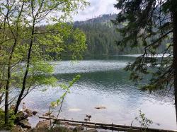 Der Schwarze See ist ein Halt bei der grenzüberschreitenden Radtour am 12. Oktober. (Foto: Sandra Schrönghammer /Nationalpark Bayerischer Wald)
