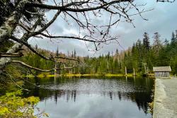 Die malerisch gelegene Martinsklause unterhalb des Lusen ist das Ziel des abendlichen Spaziergangs. (Foto: Sandra Schrönghammer/Nationalpark Bayerischer Wald)