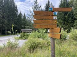 Der Parkplatz Diensthüttenstraße muss am 9. Oktober ganztägig gesperrt werden (Foto: Sandra Schrönghammer / Nationalpark Bayerischer Wald)