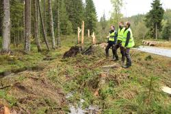 Begutachten die Flächen, die der Biber schon unter Wasser gesetzt hat: Nationalparkleiterin Ursula Schuster (v.l.), Till Clos, Leiter der Nationalparkdienststelle Finsterau, und Tobias Windmaißer, im Nationalpark zuständig für Biotop- und Artenschutz. (Foto: Annette Nigl / Nationalpark Bayerischer Wald)