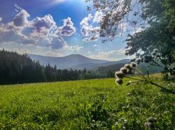 Bei der Wanderung ergeben sich immer wieder schöne Ausblicke auf die umliegenden Berge, wie den Großen Arber. (Foto: Julia Reihofer/Nationalpark Bayerischer Wald)
