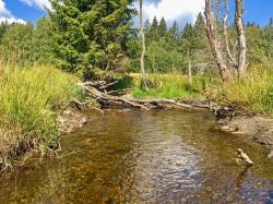 Durch das malerische Tal der Křemelná führt die grenzüberschreitende Radtour nach Rovina. (Foto: Gregor Wolf/Nationalpark Bayerischer Wald)