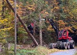 Mittels eines Harvesters wird derzeit der neue Rückeweg im Bereich der Seebachschleife angelegt. (Foto: Jürgen Pöschl / Nationalpark Bayerischer Wald)