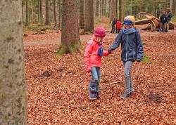 Mit Spiel und Spaß können Kinder die herbstlichen Nationalparkwälder erkunden. (Foto: Gregor Wolf/Nationalpark Bayerischer Wald)