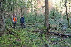 Nationalparkleiterin Ursula Schuster machte sich diese Woche in Begleitung von Dienststellenleiter Jakob Geiger ein Bild der Maßnahme, die im Moorwald unter anderem dafür sorgen soll, dass sich Torfmoose wieder deutlich wohler fühlen. (Foto: Gregor Wolf / Nationalpark Bayerischer Wald)