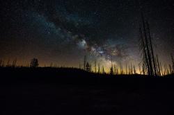 In der Wildnis des Nationalparks ist der Sternenhimmel besonders gut zu beobachten. (Foto: Lukas Haselberger/Nationalpark Bayerischer Wald)
