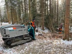 Um das Finsterauer Filz zu verbessern, werden derzeit Birken entfernt und mit Hilfe einer Raupe aus dem Moor gebracht, um freie Flächen zu schaffen. (Foto: Till Clos / Nationalpark Bayerischer Wald)