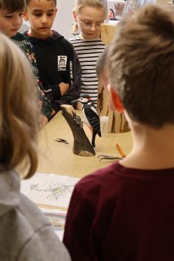 Mit allerlei Anschauungsmaterial lernten die Kinder zum Beispiel etwas über die Spechte im Nationalpark. (Foto: Gregor Wolf / Nationalpark Bayerischer Wald)