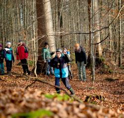 Ab in den wilden Wald: Das ermöglichst das Ferienprogramm des Nationalparks. (Foto: Daniela Blöchinger / Nationalpark Bayerischer Wald)