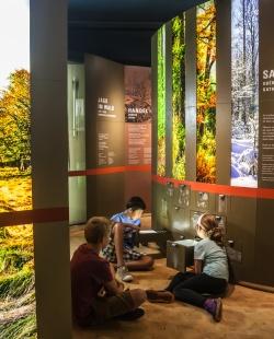 Nicht nur Kinder finden auf einer Entdeckertour durch die Ausstellung des Waldgeschichtlichen Museums viele spannende Geschichten. (Foto: Jo Fröhlich)