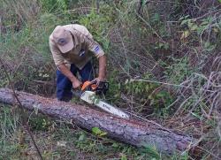 Das im Nationalpark Bayerischer Wald zum Borkenkäfermanagement erprobte Rindenschlitzen testeten die Kollegen aus El Salvador gleich unter Anleitung ihrer Gäste. (Foto: Franz Leibl/Nationalpark Bayerischer Wald)