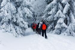 Ist das Kerngebiet die rettende Insel für die bedrohte Tierwelt? Nationalpark-Ranger Günter Sellmayer diskutiert darüber auf einer Wanderung durch die winterliche Waldwildnis. (Foto: Steffen Krieger­)