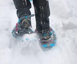 Bei der Wanderung am 4. Februar auf Schneeschuhen zum Lindberger Schachten gibt es neben spannenden Einblicken in den Wald. (Foto: Gregor Wolf/Nationalpark Bayerischer Wald)