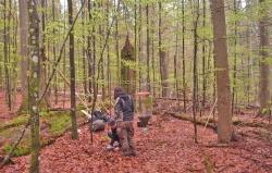 Nachdem die Struktur der Standorte dokumentiert wurde, installierten die Forscher verschiedene Messgeräte, etwa Fenster- und Bodenfallen, um die Artenvielfalt zu untersuchen. (Foto: Jonas Hagge/Nationalpark Bayerischer Wald)