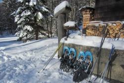 Nach der Tour durch den Winterwald werden die Schneeschuhe für eine Rast in der alten Racheldiensthütte abgeschnallt. (Foto: Nationalpark Bayerischer Wald)