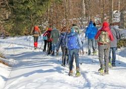 Zum Lindberger Schachten geht’s am 18. Februar auf Schneeschuhen. (Foto: Gregor Wolf/Nationalpark Bayerischer Wald)