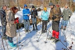 Bei der Wanderung mit Jochen Linner stehen die Spuren von Tieren im Winterwald im Fokus. (Foto: Gregor Wolf/Nationalpark Bayerischer Wald ­  –  Freigabe nur in Verbindung mit dem Veranstaltungshinweis)