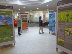 Beim Sparkassenbesuch in Freyung können sich Kunden nun auch über wertvolle Lebensräume des Nationalparks Bayerischer Wald informieren. (Foto: Claudia Schmidt/Nationalpark Bayerischer Wald)