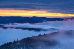 Bei gleich drei Führungen durch den spätwinterlichen Wald werden Teilnehmer zum Nachdenken über Natur und Glauben angeregt. (Foto: Philipp Seyfried/Nationalpark Bayerischer Wald)