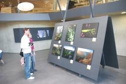 Fotoausstellung im Haus zur Wildnis.doc
