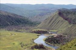 Das Wildnisgebiet Khonin Nuga im Norden der Mongolei: Wald, Trockensteppe, wilde Flußschleifen und Auwaldinseln.
(Foto: Dr. M. Mühlenberg)