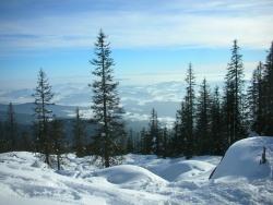 Ob gedankenlos oder absichtlich – Touren mit Skiern oder Schneeschuhen abseits der markierten Wanderwege gefährden das im Bestand bedrohte Auerhuhn massiv.
Foto: Werner Simmet