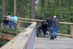 Der Baumwipfelpfad im Nationalparkzentrum wird von gehbehinderten Menschen gerne besucht (Foto Die ErlebnisAKADEMIE AG).