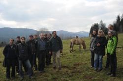 Tagungsteilnehmer bei den Przewalskipferden im Tier-Freigelände