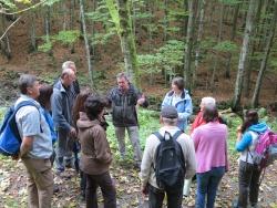 Nationalpark-Mitarbeiter Reinhold Weinberger (Mitte) erläutert den Nationalpark-Partnern und der Kooperationsbetreuerin Katrin Wachter (4. v.r.) die Geschichte des Wildnisweges bei Buchenau