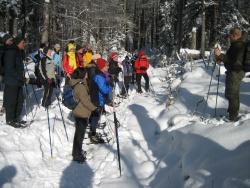 Ranger Günter Sellmayer „erwandert“ mit Interessierten den Konflikt von Wintersport in Lebensräumen von störempfindlichen Tieren im Rachel-Gebiet