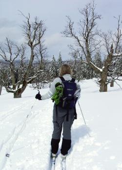 Auch im Winter immer eine Wanderung wert: Die Schachten.