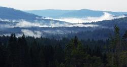 Große Waldgebiete wie beispielsweise der Bayerische Wald spielen für das weltweite Klimageschehen eine wichtige Rolle.
