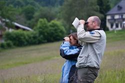 Wer singt denn da so schön? Sachkundige Einführung in das Frühlings-Vogelkonzert ermöglicht die Nationalparkführung „Vogelwelt im Frühlingswald“ (Foto: NPV Bayerischer Wald)