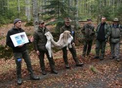 Fachexkursionen vertieften die auf der Tagung präsentierten Forschungsthemen im Nationalpark, unter anderem zum Fokus „Luchsschutz“