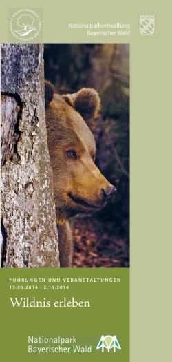 Volles Programm: Ab sofort gibt es das neue Sommerprogrammheft kostenlos in allen Nationalpark-Besucherzentren, in den Touristinfos der Nationalparkgemeinden und im Internet zum Download. (Foto: NPV Bayerischer Wald)