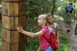 Auf Entdeckungsreise im Waldspielgelände (Foto: NPV Bayerischer Wald)