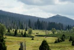 Lusenblick mal anders auf dem Weg nach Fürstenhut: Die grenzüberschreitenden Wanderungen in den Nationalpark Sumava eröffnen neue Perspektiven (Foto: NPV Bayerischer Wald).