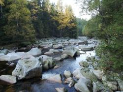 Wild und verwunschen: Die Vydra mit vielen Stromschnellen, Felsblöcken und unregelmäßigen Schwellen im Flussbett (Foto: WaldZeit)